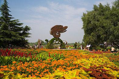 《动物之森：新叶》玩家在联机关闭之前疯狂互访